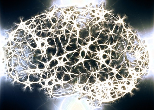 optimize brain cells