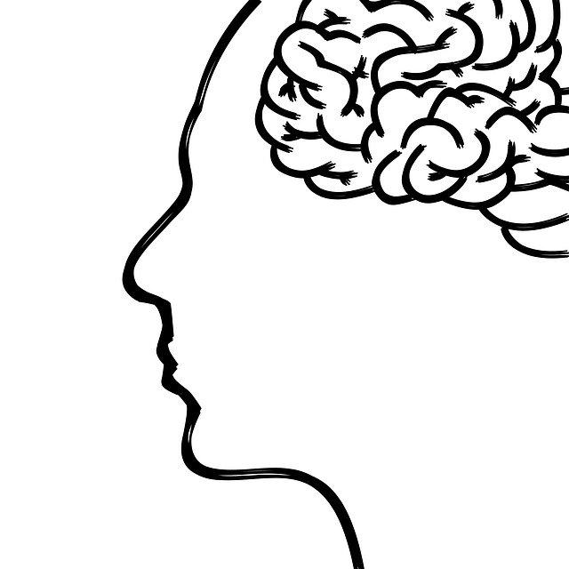 brain cognition focus 