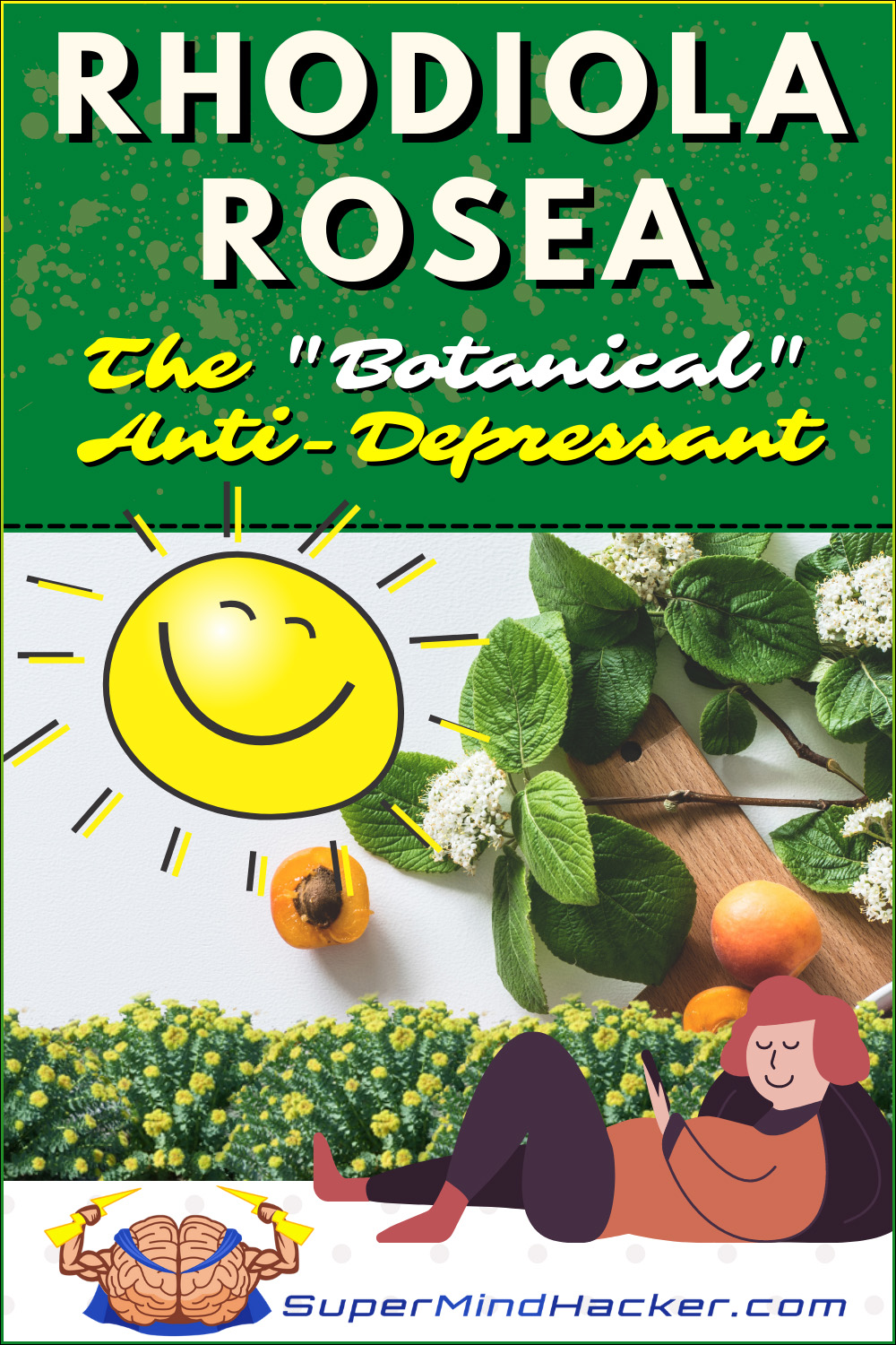 Rhodiola Rosea – The Botanical “Natural” Antidepressant Nootropic!