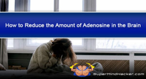 How to Reduce the Amount of Adenosine in the Brain (Caffeine + Alternatives)