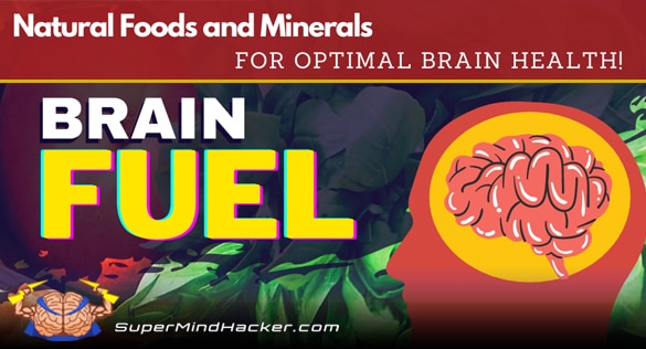 what is brain fuel? natural foods and minerals