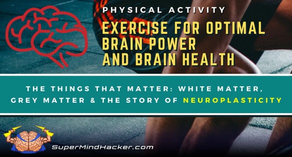 physical activity for brain health