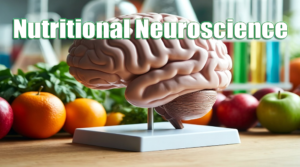 Nutritional Neuroscience: Metabolic Substrates for Brain Optimization