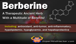 Berberine: The Metabolic Activator for Glucose Regulation and Cognitive Preservation