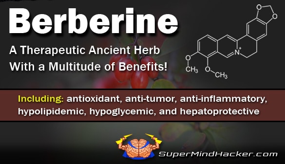 Berberine – The Ancient Chinese Herbal Superfood and Body Rejuvenator