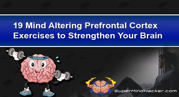 prefrontal cortex exercises