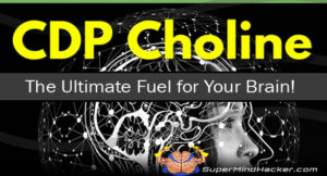 CDP-Choline: The Kennedy Pathway and Neural Membrane Architecture