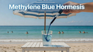 Methylene Blue Hormesis: Mitochondrial Electron Transport Modulation